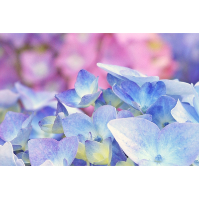 【6月の肌ケアレター】梅雨の時期特有のお悩み