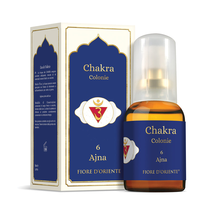 CA001_900x.jpg?v=1700890193